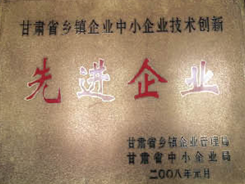 甘肅省鄉(xiāng)鎮(zhèn)企業(yè)中小企業(yè)技術創(chuàng)新