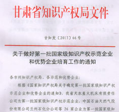 國家級(jí)知識(shí)產(chǎn)權(quán)示范和優(yōu)勢(shì)企業(yè)