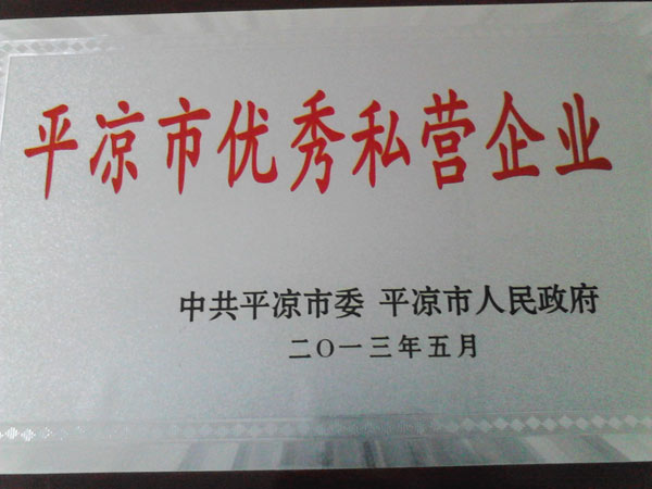 優(yōu)秀民營(yíng)企業(yè)